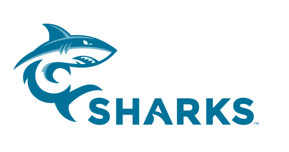 Hawaii logo